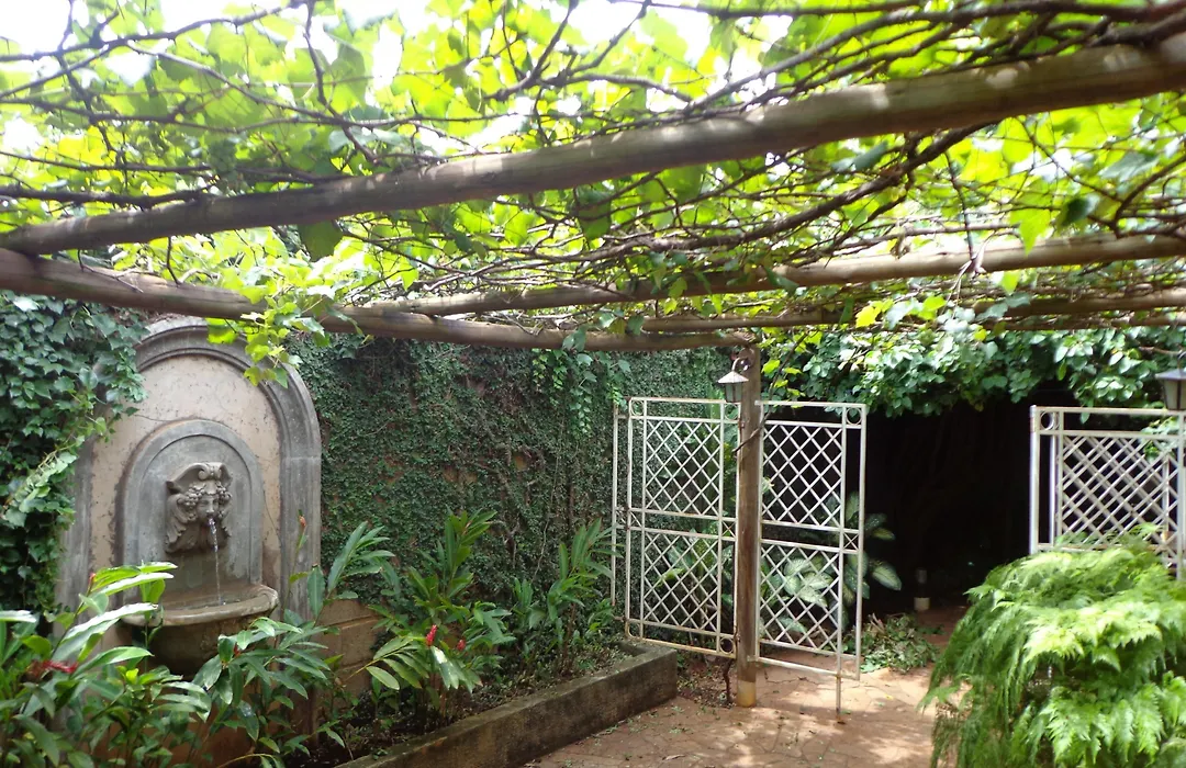 Hotel Pousada Chalé das Flores-1